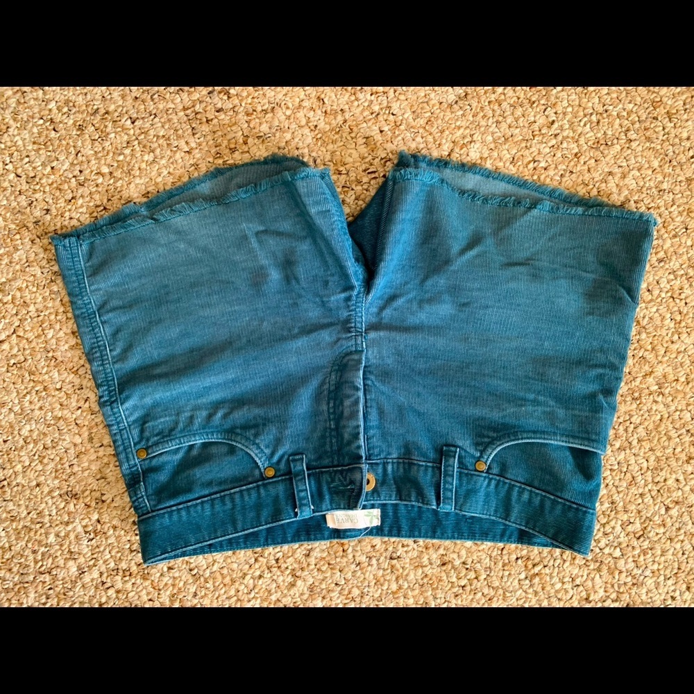 Title 9 Dogtown shorts